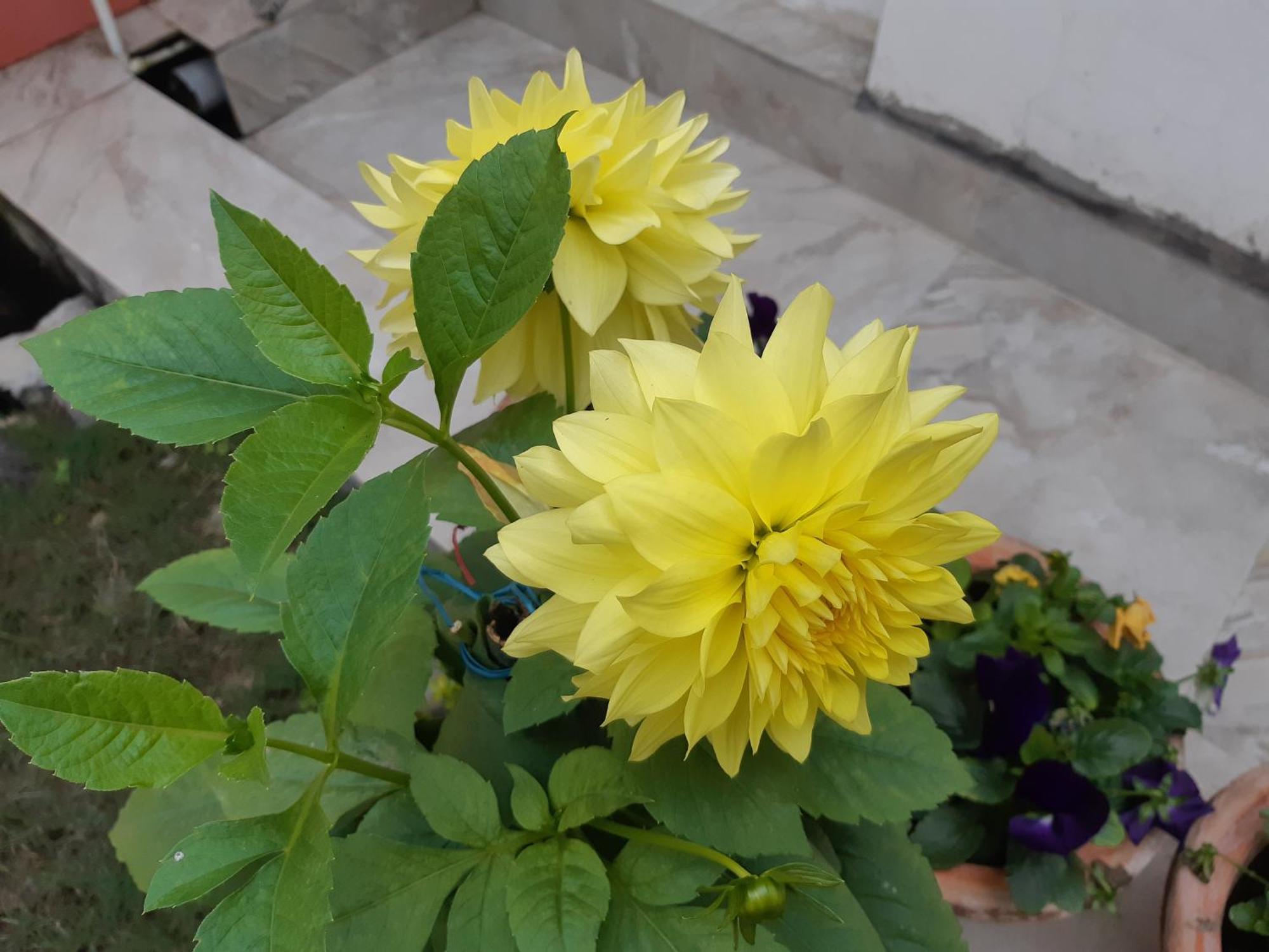 Fully Furnished Ish, Atithya Homestay With Various Amenities And Free Services In Lucknow, India Exterior photo